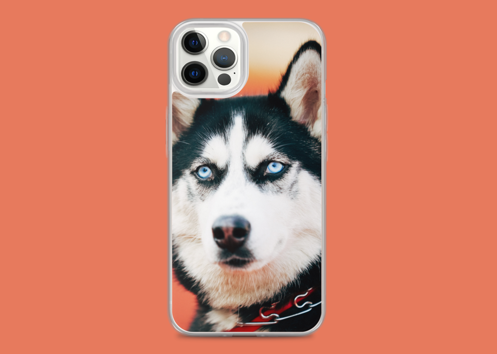Custom iPhone 13 Pro Max Phone Case